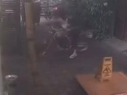 Bule Curi Motor Custom di Canggu, Sempat Pesan Makan-Masuk Toilet Staf