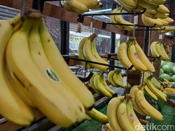 6 Tanaman yang Disebut dalam Al-Quran, Apa Aja?