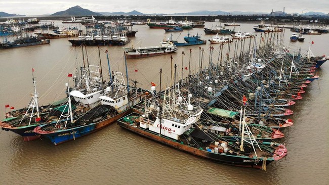 Mulai Januari 2023, Kementerian KKP akan menerapkan kuota memancing ikan di laut untuk menjaga populasi ikan.