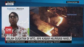 VIDEO: RI Kalah di WTO, Pengamat: Indonesia Harus Lawan!