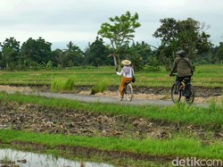 Mengenal Desa Wisata Bilebante Nan Hijau di Lombok Tengah
