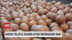 VIDEO: Harga Telur dan Daging Ayam Merangkak Naik