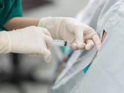 Kondisi Rafa Korban Gigitan Ular Weling Usai Disuntik 21 Vial Antivenom
