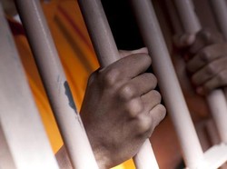 3 Trik Bos Investasi Bodong PT DOK Kelabuhi-Tipu 559 Nasabah di Bali