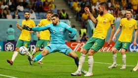 3 Cara Australia Kalahkan Argentina di Piala Dunia 2022