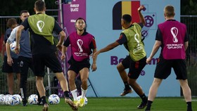 Piala Dunia 2022: Pelatih Bantah Skuad Belgia Ribut Gontok-gontokan