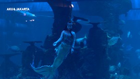 Pia Avrianie dan Mimpi Jadi Mermaid Sepanjang Hayat