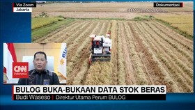 VIDEO: Bulog Buka-bukaan Data Stok Beras