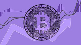 Untung Rugi Investasi Kripto Saat Banyak Platform Bangkrut