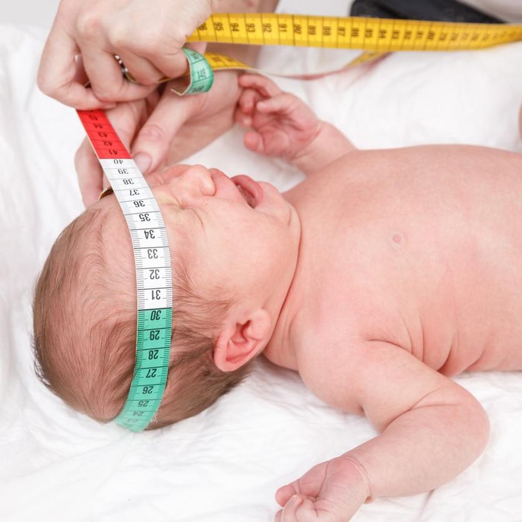 lingkar kepala bayi Lingkar kepala bayi