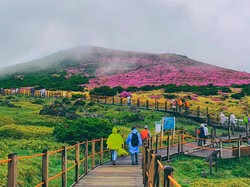 5 Bucket List Wisata Korsel yang Menarik Disinggahi di 2024