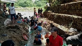 VIDEO: Bukan Akan Terjadi Gempa, Ini Sebab Ribuan Ikan Naik Ke Daratan
