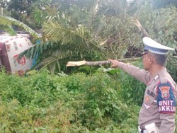 Gegara Rem Blong, Truk Tangki BBM Terbalik ke Kebun Salak di Tapsel