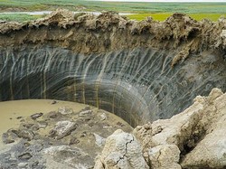 8 Virus Purba Ini Bisa Bangkit Jika Es Abadi Mencair