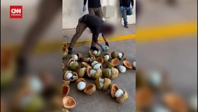 VIDEO: Meksiko Sita 300 Kg Fentanil Disembunyikan dalam Kelapa