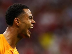 Cody Gakpo yang Menanti Tawaran Kedua dari MU