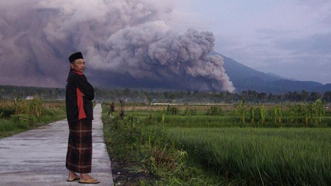 Para pakar menilai prediksi Jepang bahwa erupsi Gunung Semeru memicu tsunami tak relevan dan hoaks.