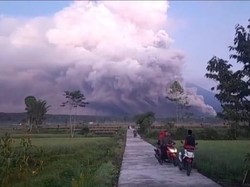 Status Semeru Awas, Dua Dusun Desa Supit Urang Lumajang Kosong