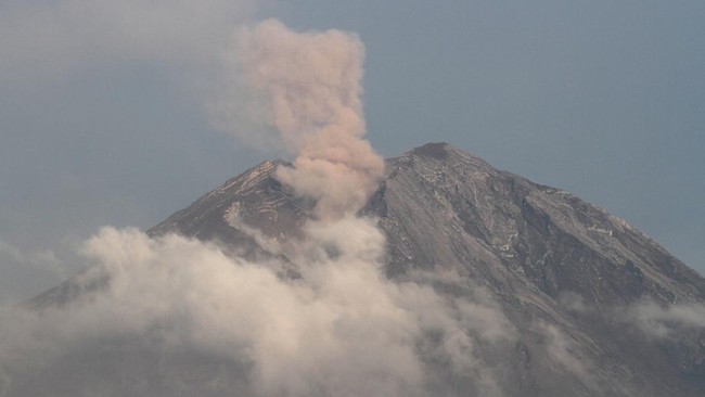 Gunung Semeru di perbatasan Kabupaten Lumajang dan Malang, Jawa Timur mengalami erupsi terus menerus sebanyak 20 kali, Selasa (11/6).