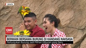 VIDEO: Bermain Bersama Burung di Kandang Raksasa di Ancol Jakarta