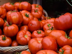 9 Manfaat Tomat untuk Wajah dan Cara Pakainya yang Benar