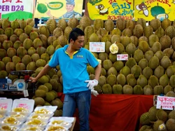 China & Malaysia Bakal Kerja Sama Ekspor Durian-Perpanjangan Bebas Visa