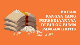 INFOGRAFIS: Daftar Bahan Pangan di Bulog-BUMN yang Pasokannya Kritis