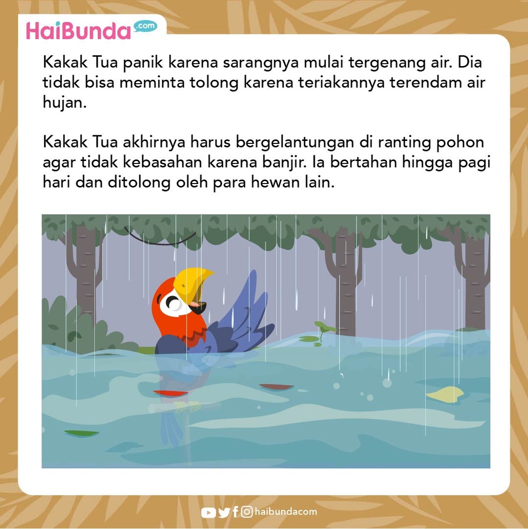 Cerita Fabel Akibat Kakak Tua Malas