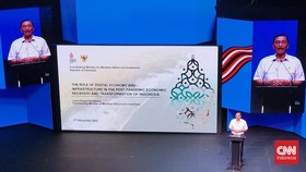 Cerita Luhut Soal Cucu Minta Kebijakan Iklim Tak Rugikan Generasinya