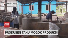 VIDEO: Produsen Tahu Mogok Produksi