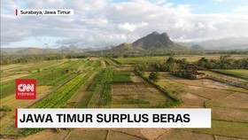 VIDEO: Jawa Timur Surplus Beras, Tak Perlu Impor