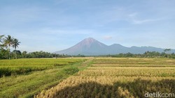Gunung Semeru Erupsi, Waspada 6 Penyakit Ini