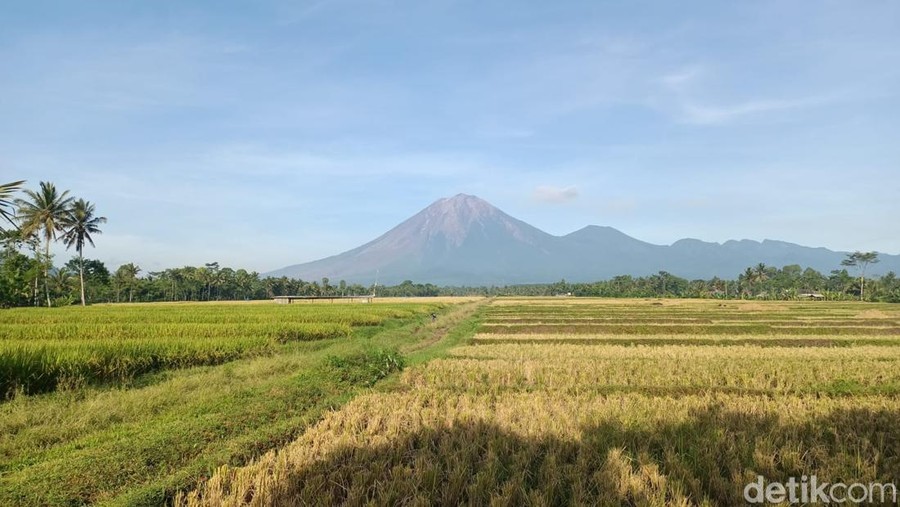 Penampakan Gunung Semeru Kamis 8 Desember 2022