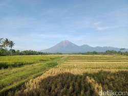 Gunung Semeru Erupsi, Waspada 6 Penyakit Ini