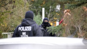 Reichsburger, Dalang Upaya Kudeta Jerman Beraksi bak di Serial TV
