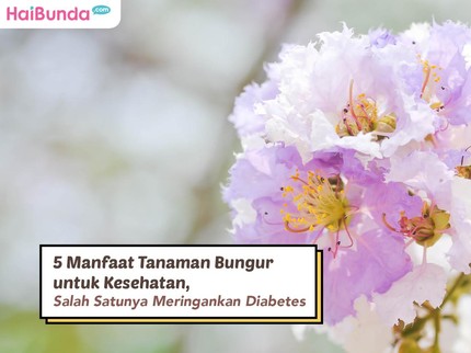 5 Manfaat Tanaman Bungur untuk Kesehatan, Salah Satunya Meringankan Diabetes