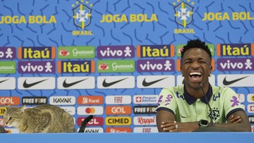 Saat Kucing Tiba-tiba Nimbrung di Sesi Jumpa Pers Vinicius Junior Pemandangan yang tak biasa terjadi karena seekor kucing nimbrung di sesi konferensi pers Vinicius Junior jelang Kroasia vs Brasil di Piala Dunia 2022.