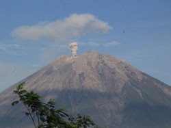 PVMBG Turunkan Status Gunung Semeru Jadi Siaga
