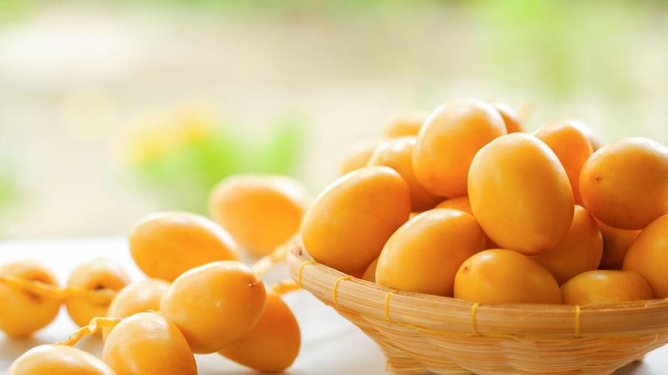 Kurma Muda dan Zuriat Kurma Muda dan Zuriat