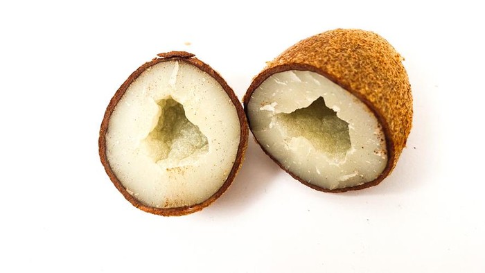 Kurma Muda dan Zuriat