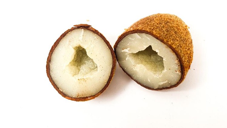 Kurma Muda dan Zuriat