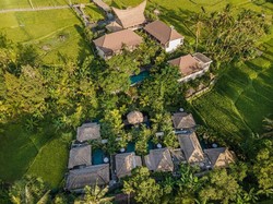 Libur Akhir Tahun Bernuansa Tropis di Tengah Hamparan Sawah Tegallalang