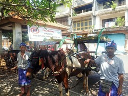 Yuk Nostalgia! Naik Dokar Gratis di Denpasar