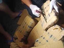 Detik-detik Penangkapan Kurir 1,3 Ton Ganja Asal Aceh di Medan