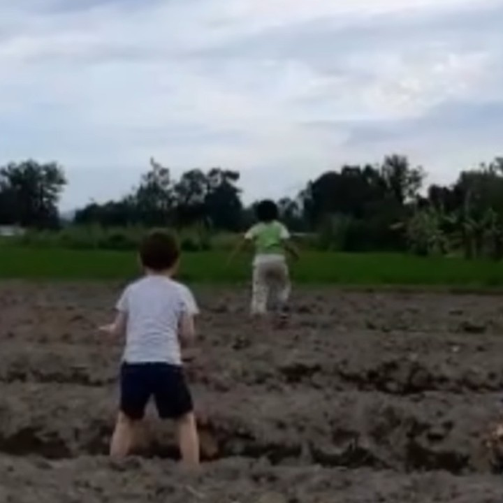 <p>Sementara itu sang kakak, Cio, juga menikmati momen bermain di sawah sebagai pengalaman baru. Lucio tak ragu mengotori badannya ketika menginjak tanah yang masih basah. (Foto: Instagram @celine_evangelista)</p>