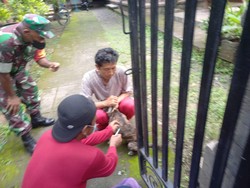 2 Anak Digigit Anjing Ganas Rabies, Distan Buleleng Vaksin Ratusan Ekor