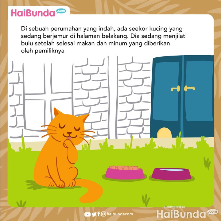 Cerita Fabel: Kucing Merasa Hebat