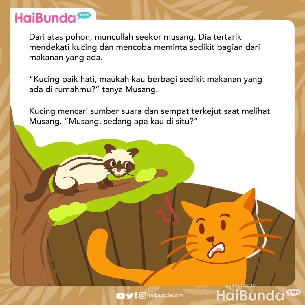 Cerita Fabel: Kucing Merasa Hebat