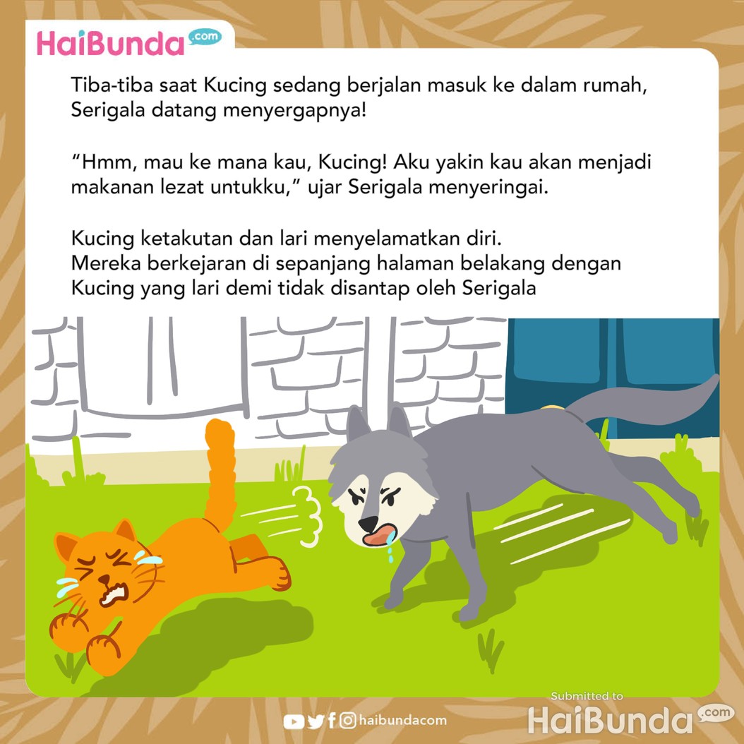 Cerita Fabel: Kucing Merasa Hebat