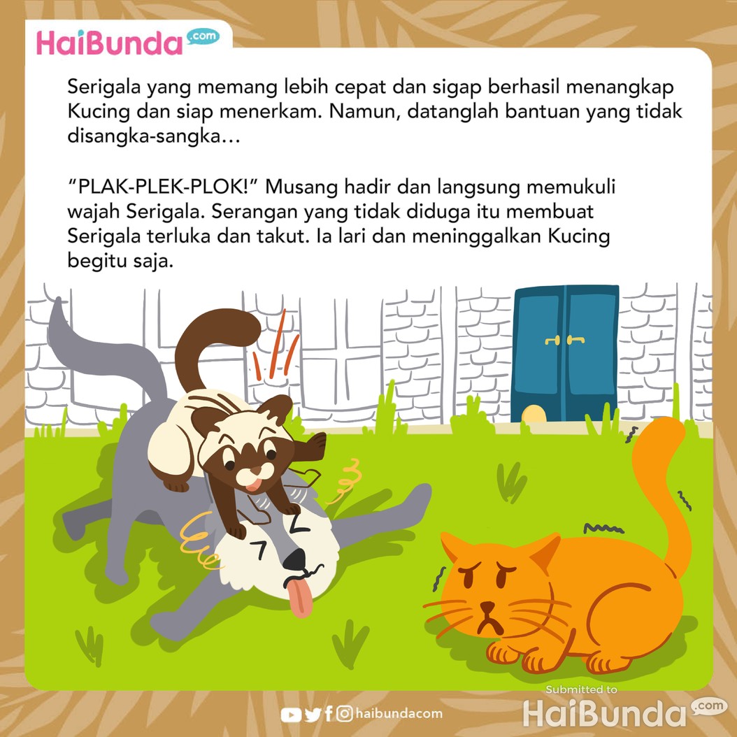 Cerita Fabel: Kucing Merasa Hebat